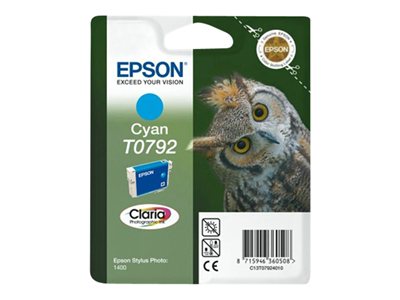 Epson T0793